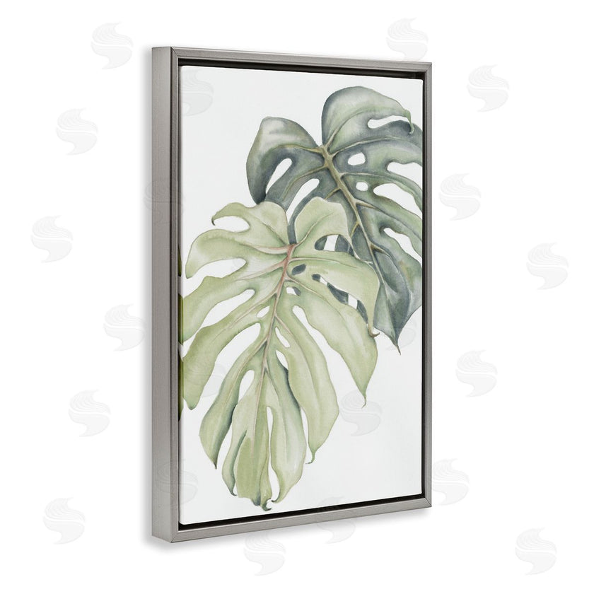 Errico & Slyp | Philodendron Monstera Leaves
