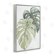 Errico & Slyp | Philodendron Monstera Leaves