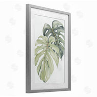 Errico & Slyp | Philodendron Monstera Leaves