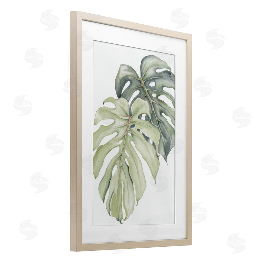 Errico & Slyp | Philodendron Monstera Leaves
