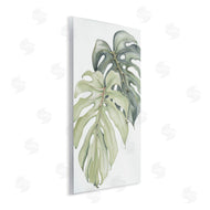 Errico & Slyp | Philodendron Monstera Leaves