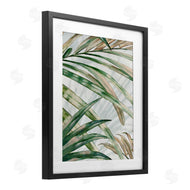 Alex Black | Tropical Frond Impressions