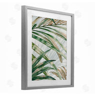 Alex Black | Tropical Frond Impressions