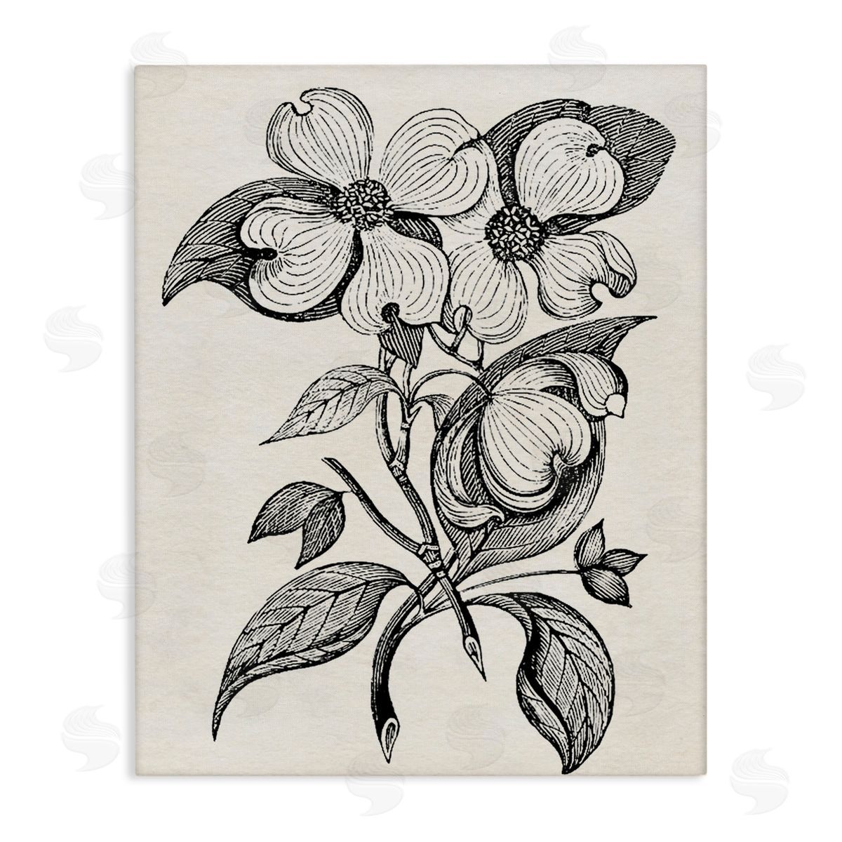 Karen Smith Classic Cut of Dogwood Canvas Wall Art Print