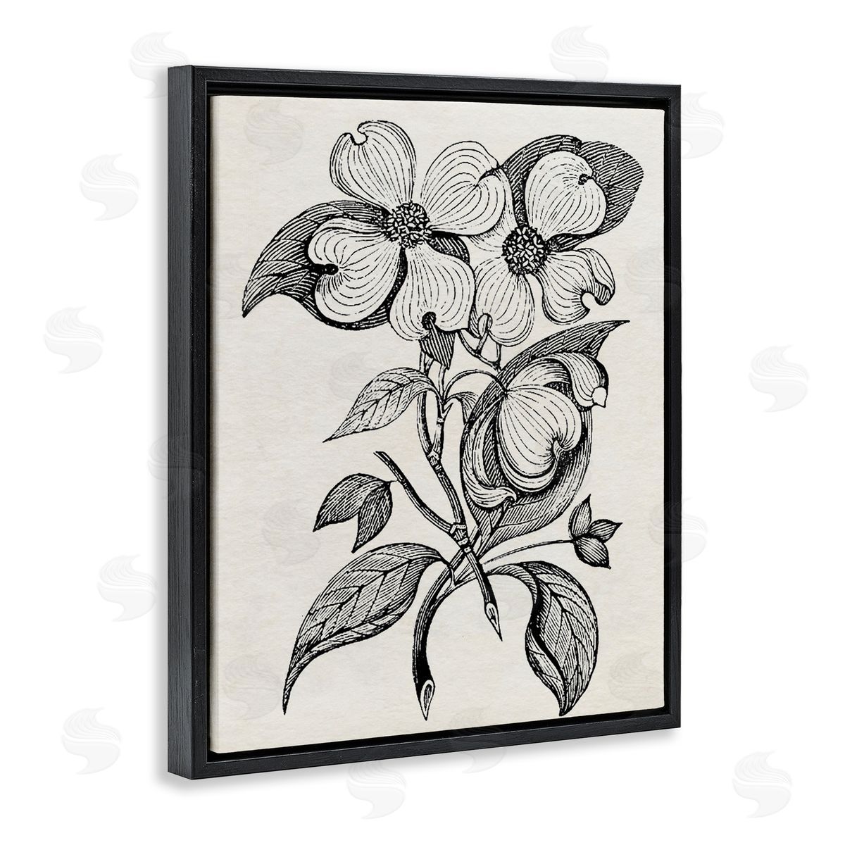 Karen Smith Classic Cut of Dogwood Canvas Wall Art Print