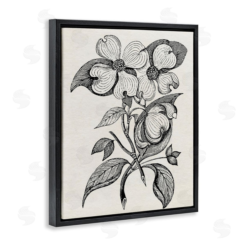 Karen Smith | Classic Cut of Dogwood