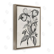 Karen Smith | Classic Cut of Dogwood