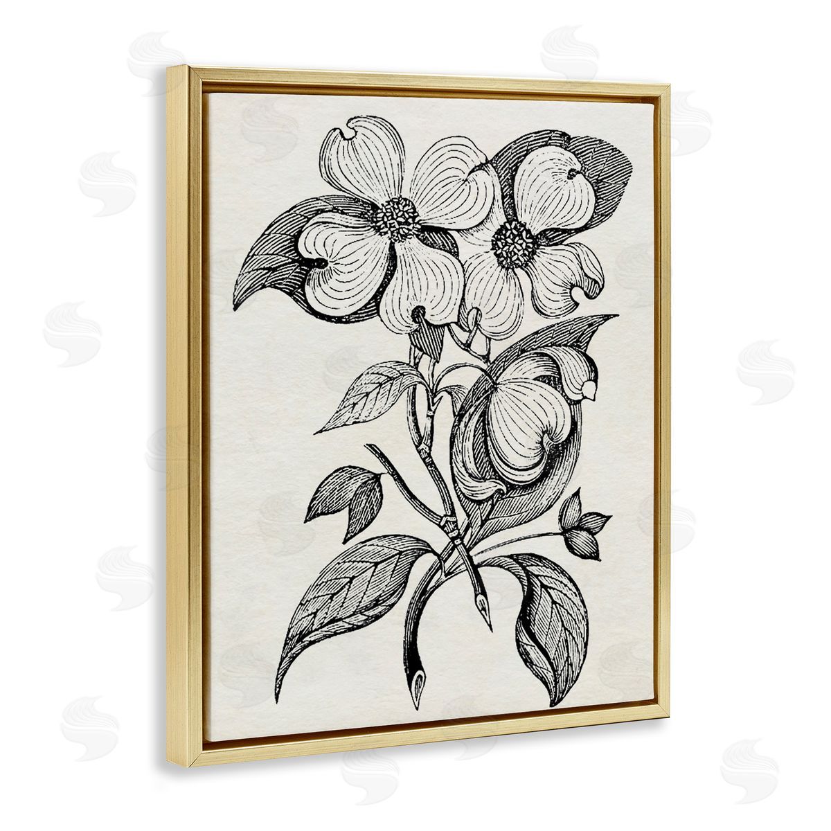 Karen Smith Classic Cut of Dogwood Canvas Wall Art Print
