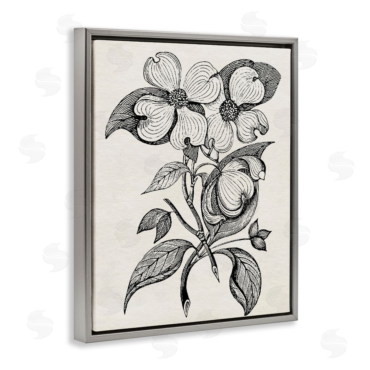 Karen Smith Classic Cut of Dogwood Canvas Wall Art Print