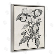 Karen Smith | Classic Cut of Dogwood