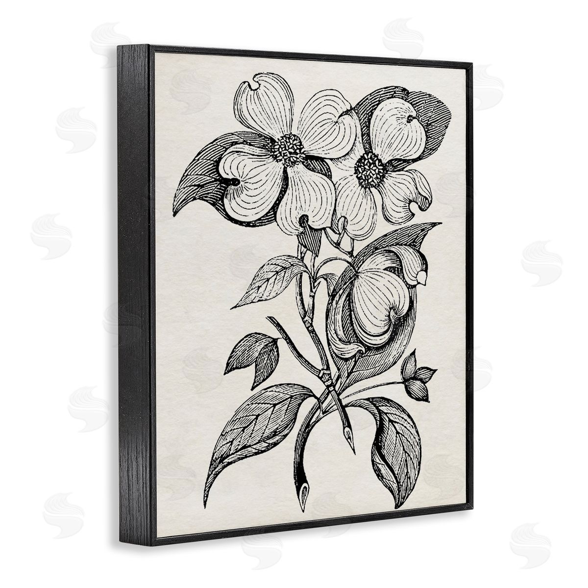 Karen Smith Classic Cut of Dogwood Canvas Wall Art Print
