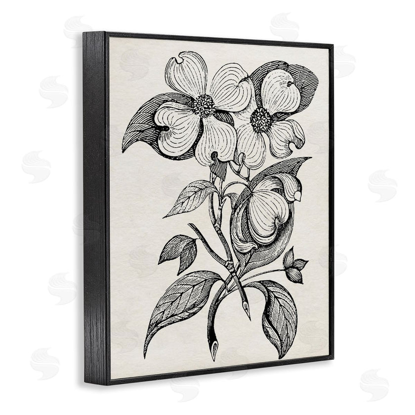 Karen Smith | Classic Cut of Dogwood