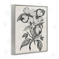 Karen Smith | Classic Cut of Dogwood