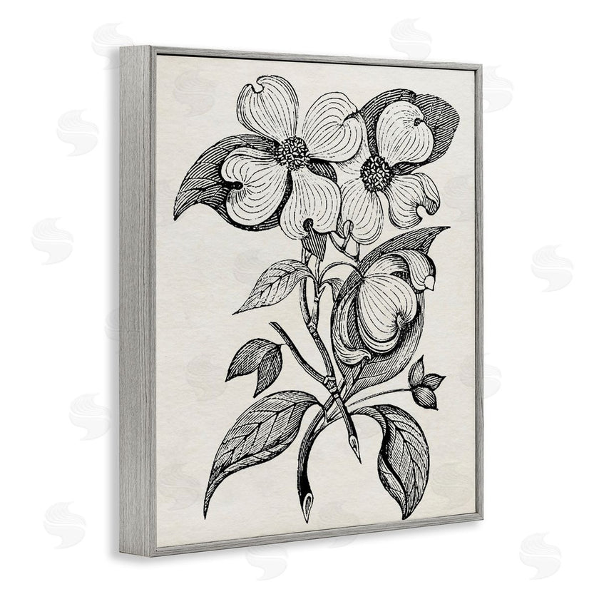 Karen Smith | Classic Cut of Dogwood