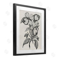 Karen Smith | Classic Cut of Dogwood