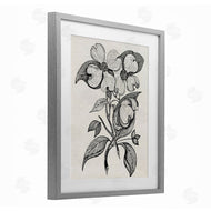 Karen Smith | Classic Cut of Dogwood