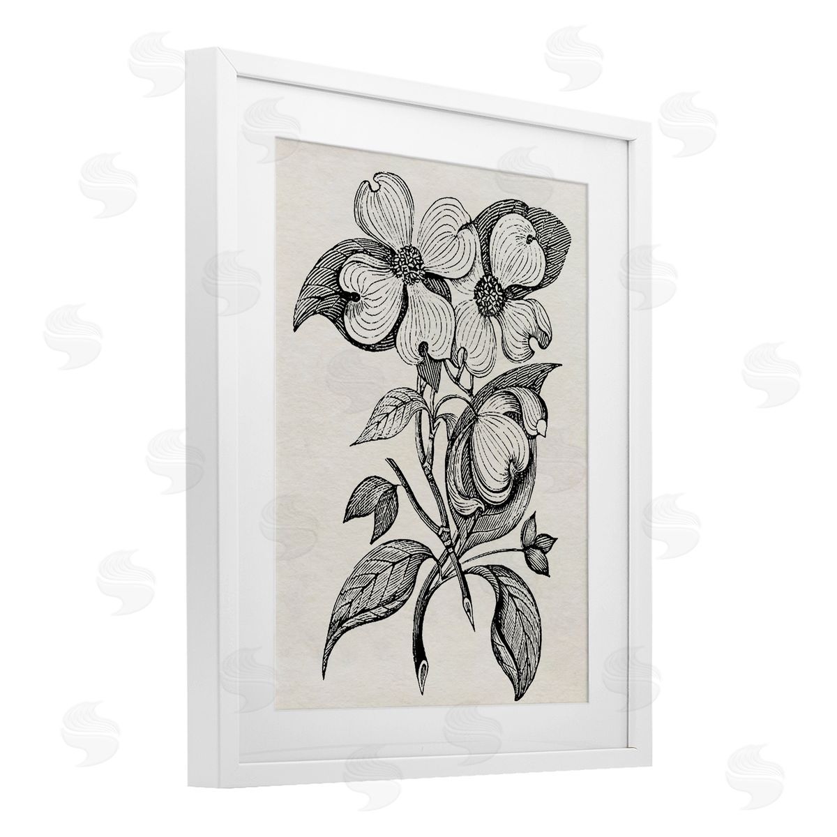 Karen Smith Classic Cut of Dogwood Canvas Wall Art Print