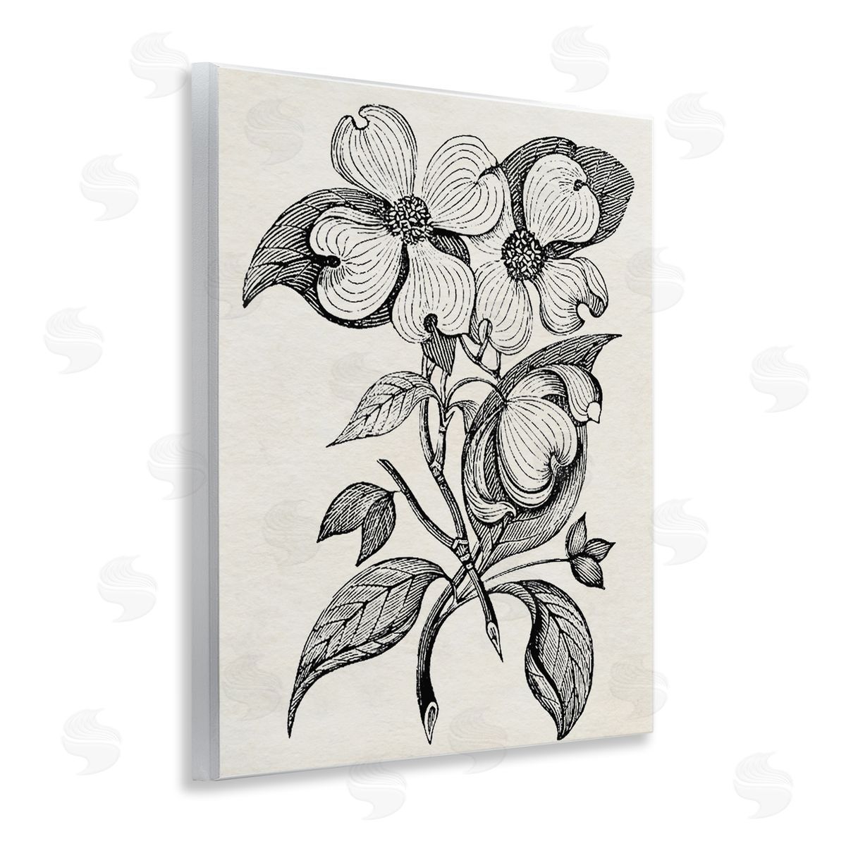 Karen Smith Classic Cut of Dogwood Canvas Wall Art Print