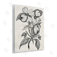 Karen Smith | Classic Cut of Dogwood