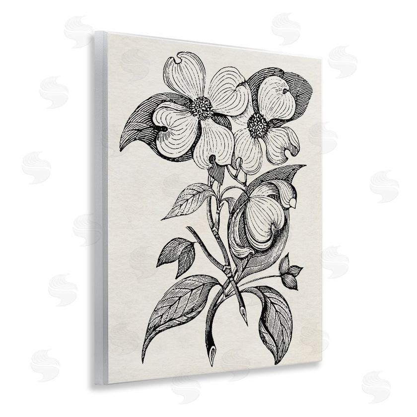 Karen Smith | Classic Cut of Dogwood