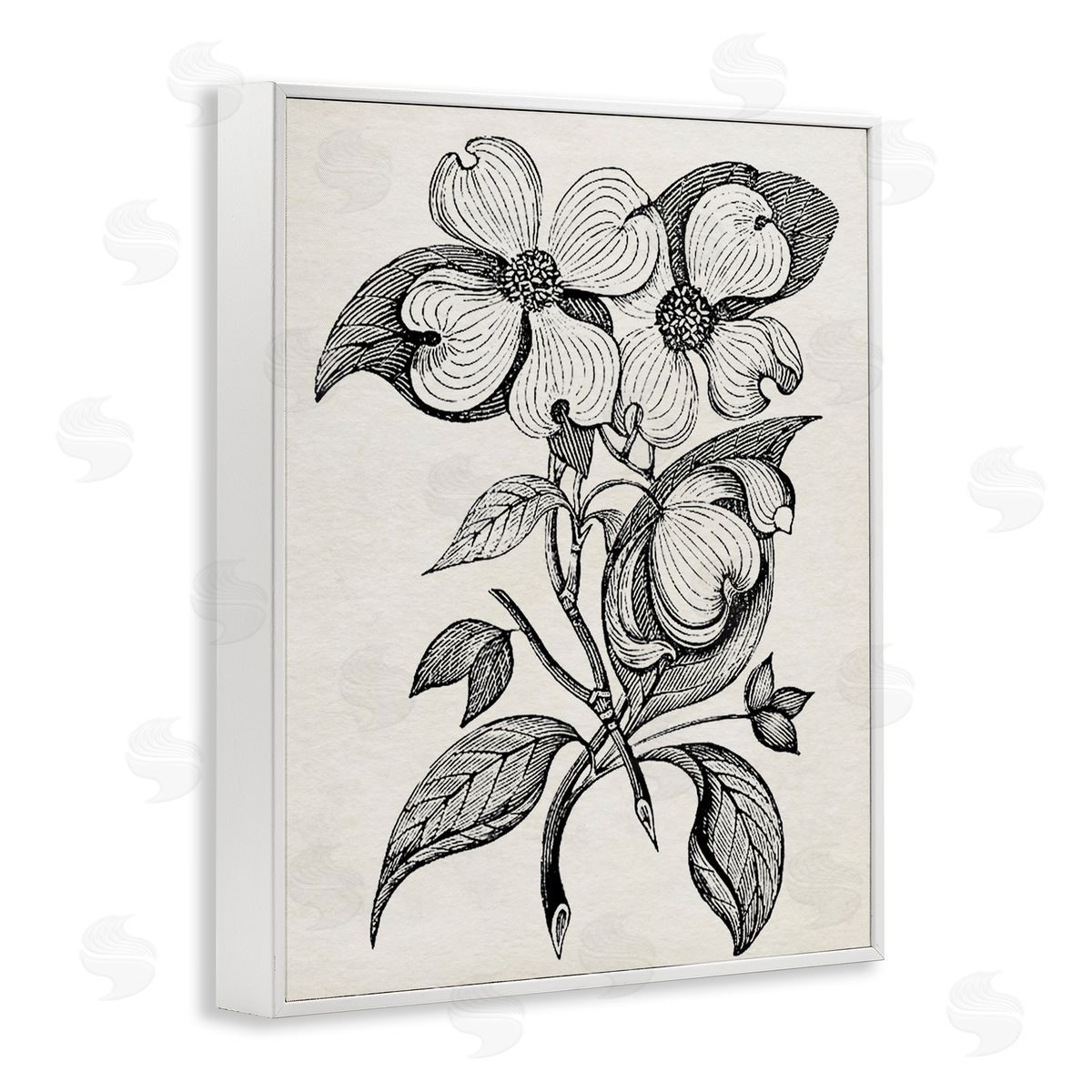 Karen Smith Classic Cut of Dogwood Canvas Wall Art Print