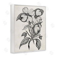 Karen Smith | Classic Cut of Dogwood