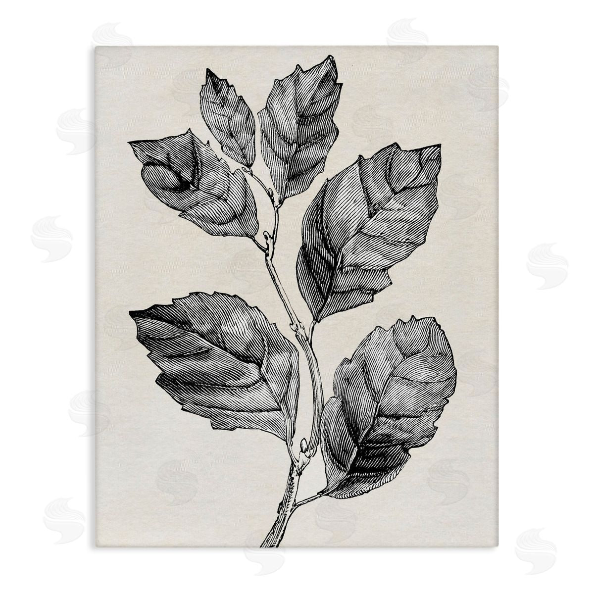 Karen Smith Classic Leaf Branch Cut Canvas Wall Art Print
