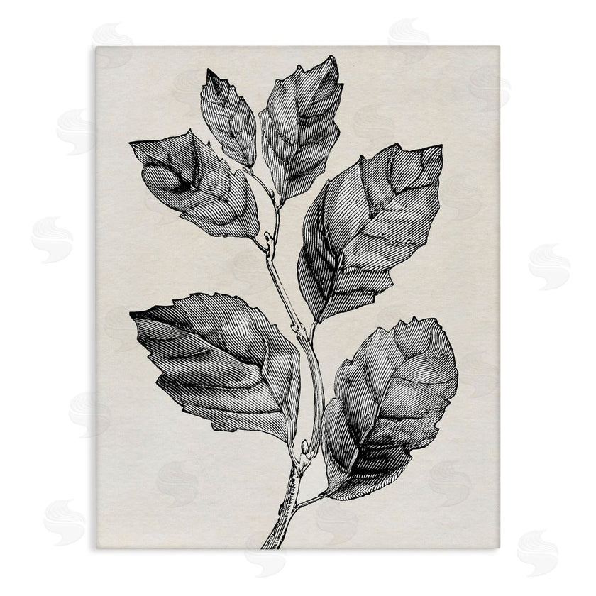 Karen Smith | Classic Leaf Branch Cut