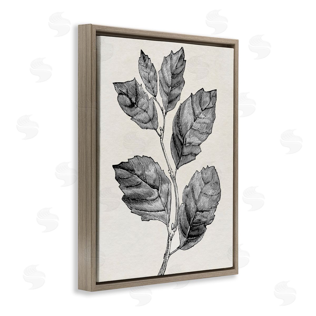 Karen Smith Classic Leaf Branch Cut Canvas Wall Art Print