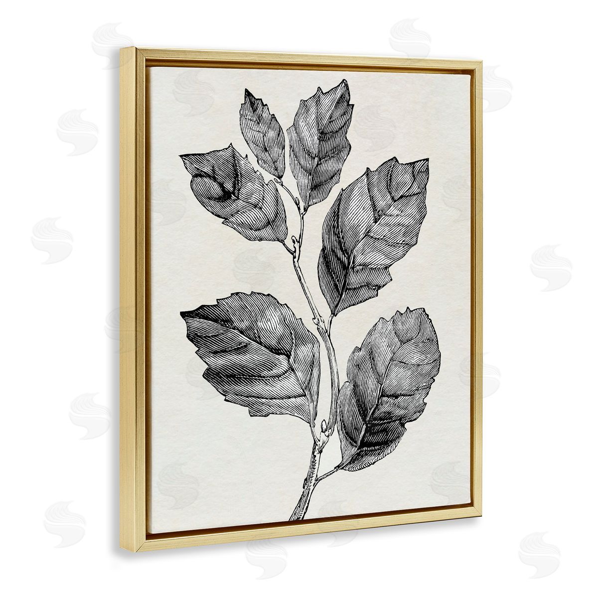 Karen Smith Classic Leaf Branch Cut Canvas Wall Art Print