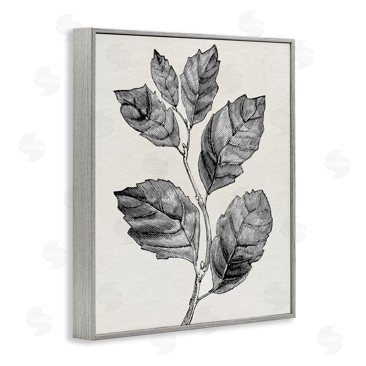 Karen Smith Classic Leaf Branch Cut Canvas Wall Art Print