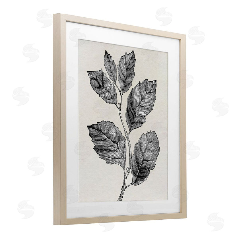 Karen Smith | Classic Leaf Branch Cut