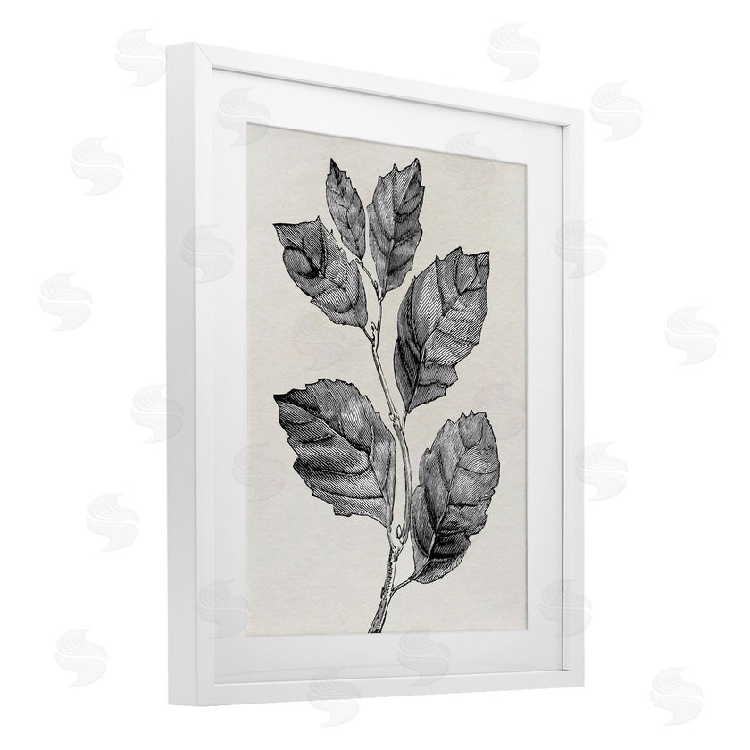 Karen Smith | Classic Leaf Branch Cut