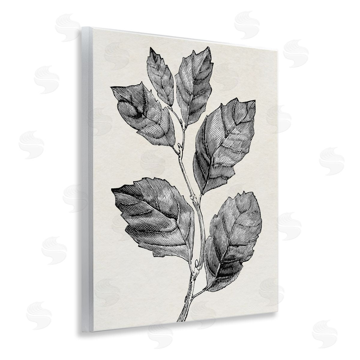 Karen Smith Classic Leaf Branch Cut Canvas Wall Art Print