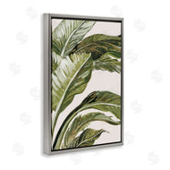 Jacob Q | Green Tropical Hues