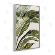 Jacob Q | Green Tropical Hues