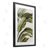 Jacob Q | Green Tropical Hues