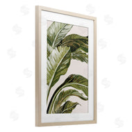 Jacob Q | Green Tropical Hues