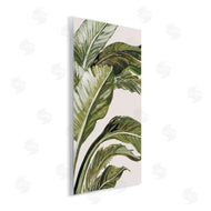 Jacob Q | Green Tropical Hues