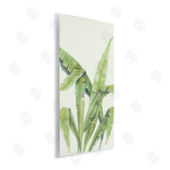 Errico & Slyp | Anse Lazio Tropical Greenery