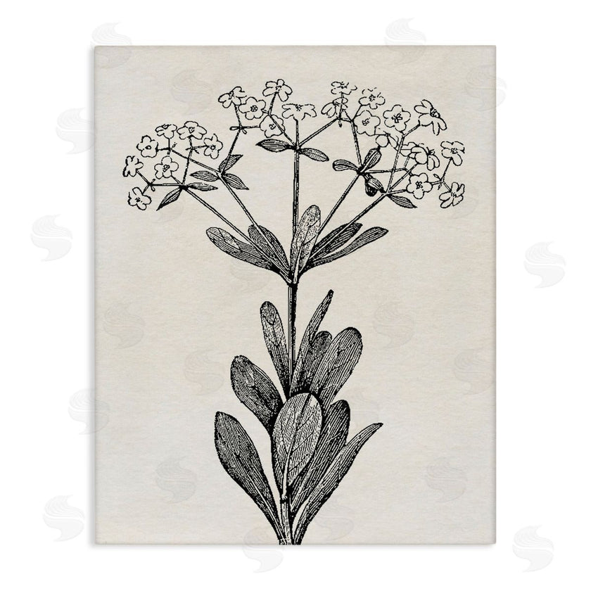 Karen Smith | Classic Cuts Botanicals