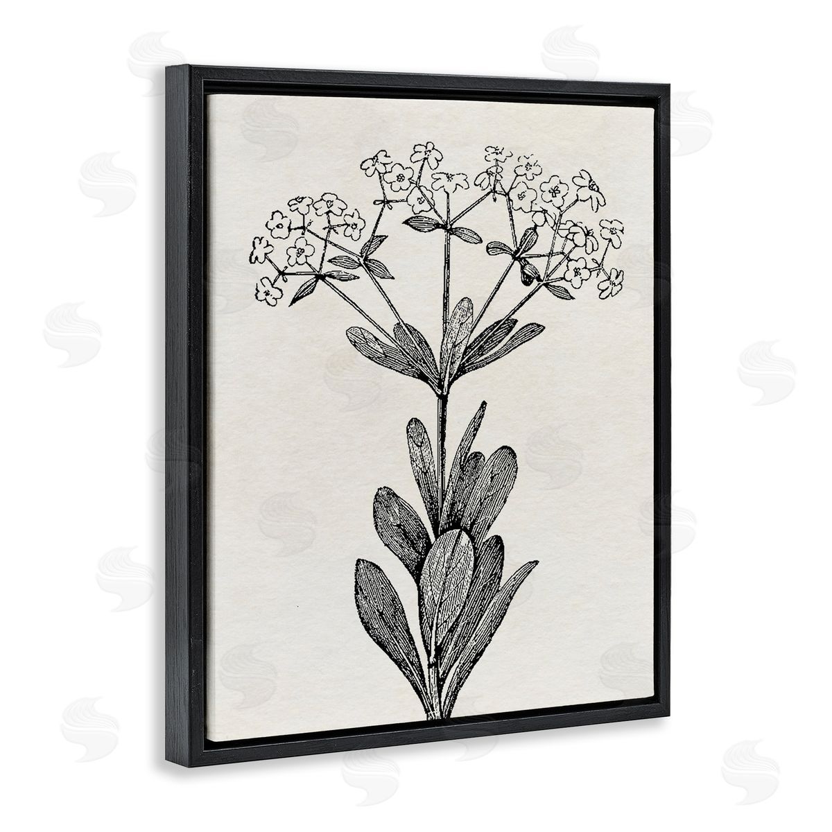 Karen Smith Classic Cuts Botanicals Canvas Wall Art Print