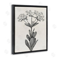 Karen Smith | Classic Cuts Botanicals