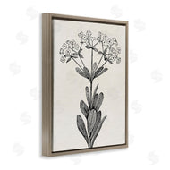 Karen Smith | Classic Cuts Botanicals