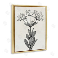 Karen Smith | Classic Cuts Botanicals