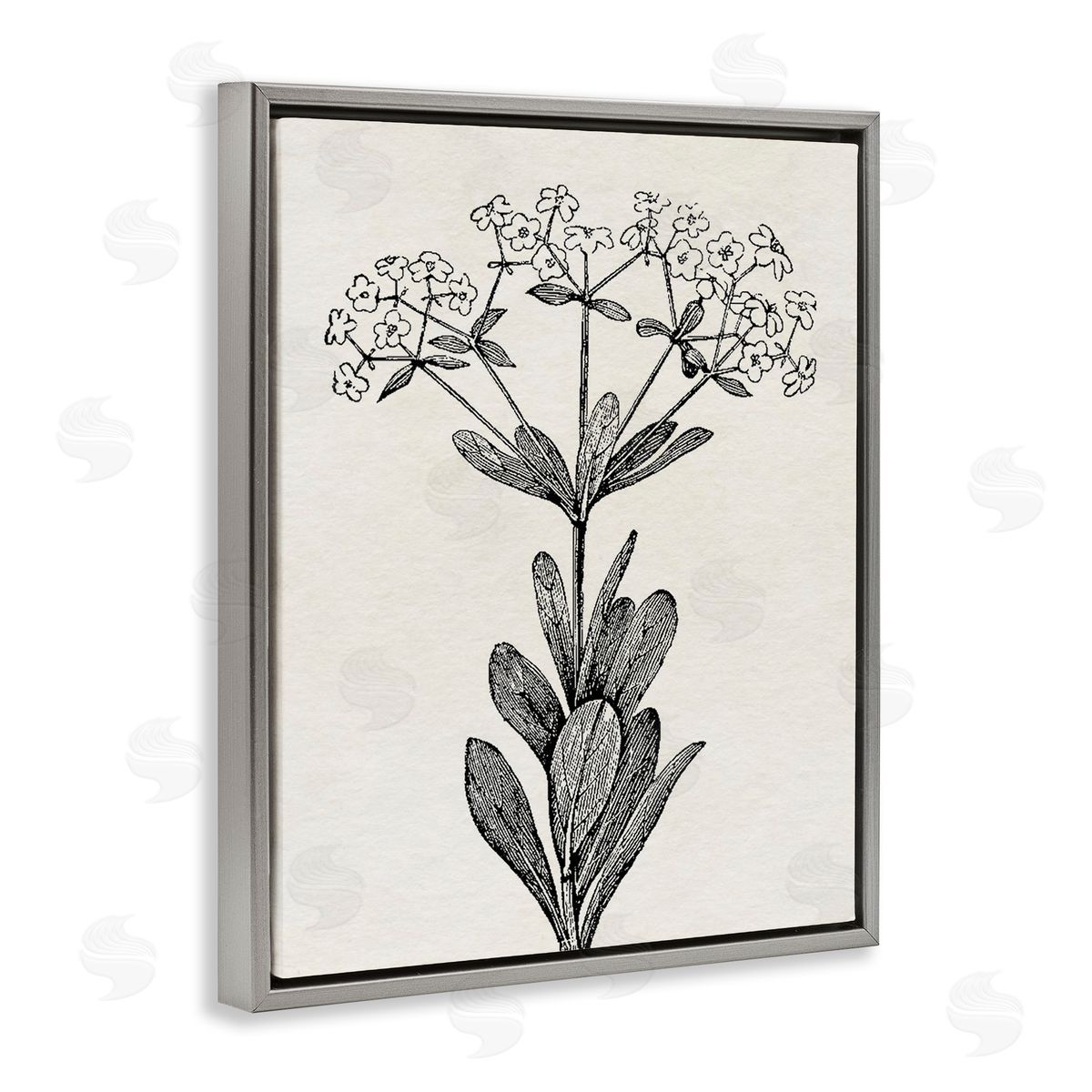 Karen Smith Classic Cuts Botanicals Canvas Wall Art Print