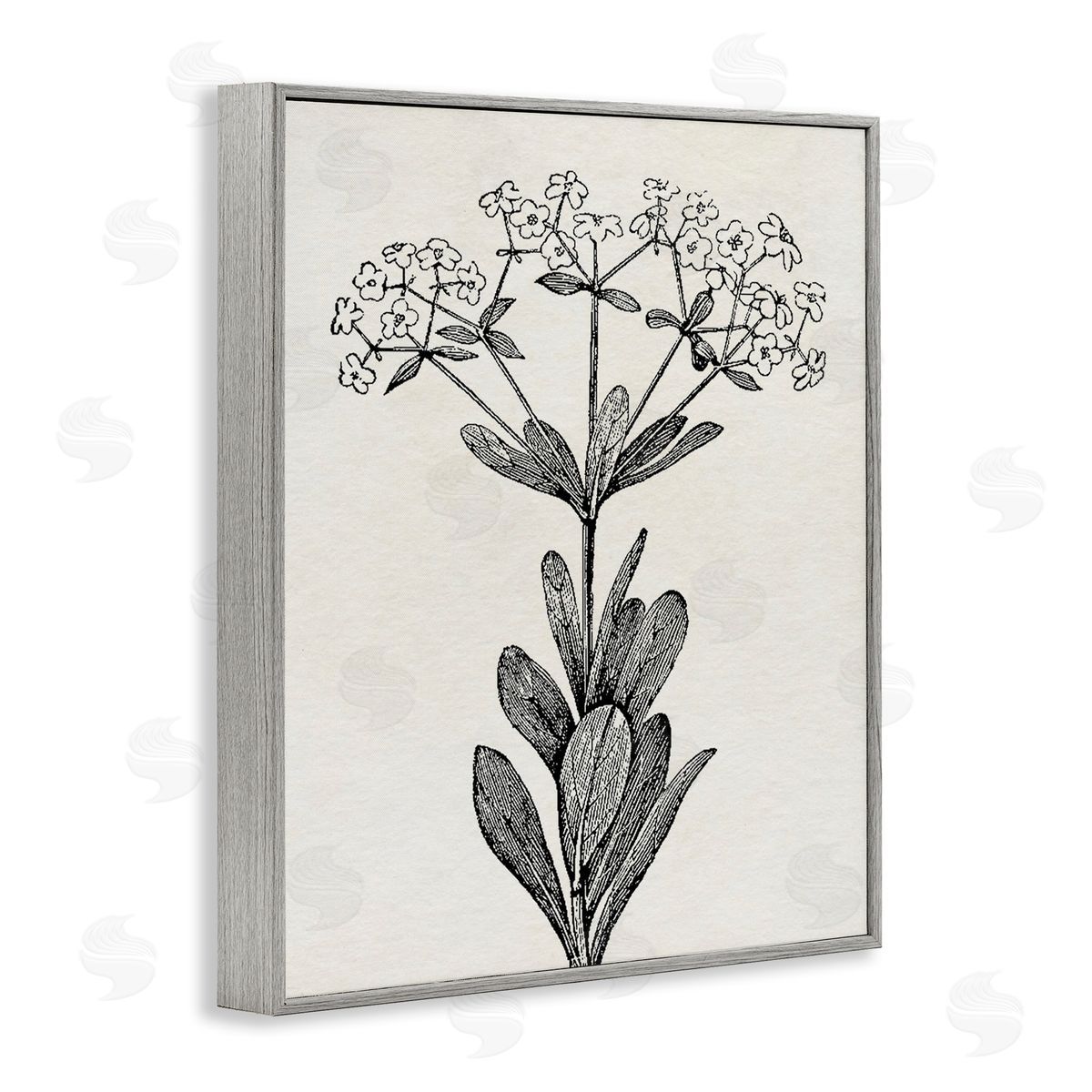 Karen Smith Classic Cuts Botanicals Canvas Wall Art Print