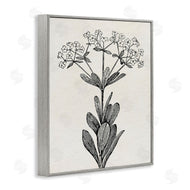 Karen Smith | Classic Cuts Botanicals
