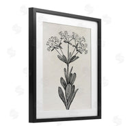 Karen Smith | Classic Cuts Botanicals