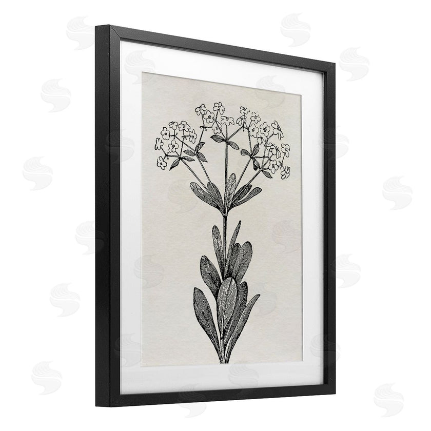 Karen Smith | Classic Cuts Botanicals
